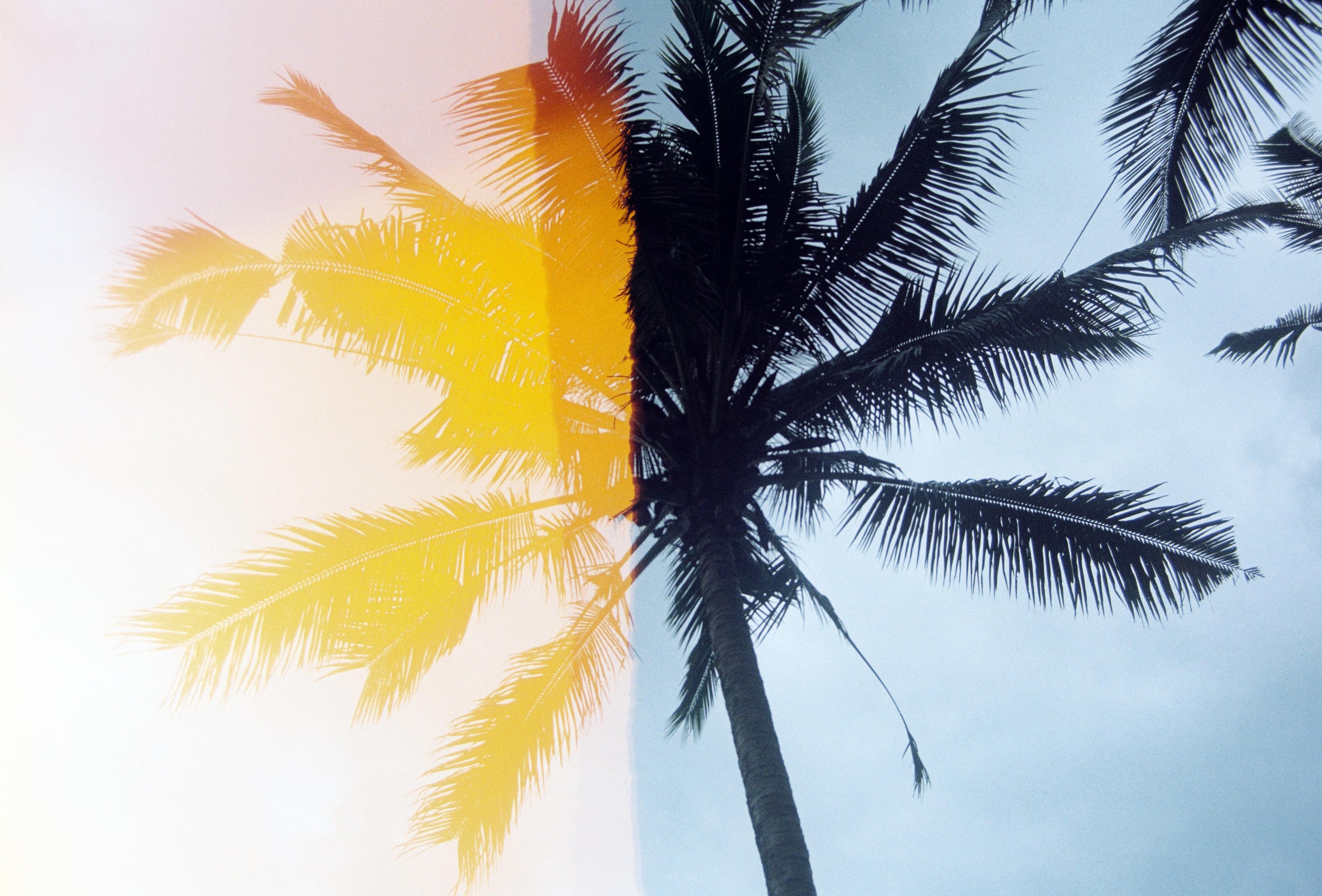 Analogfotografie — 01