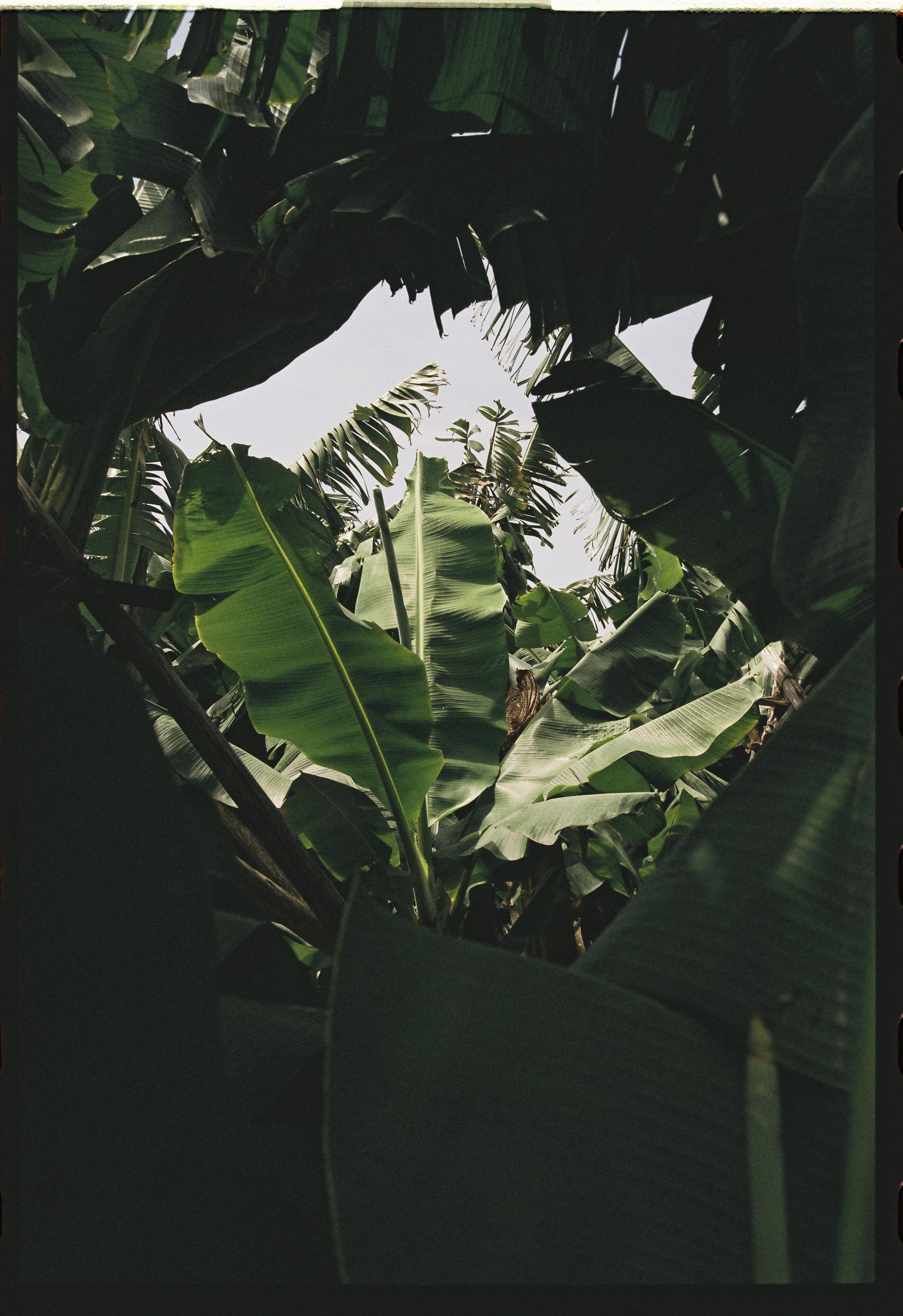Analogfotografie — 03