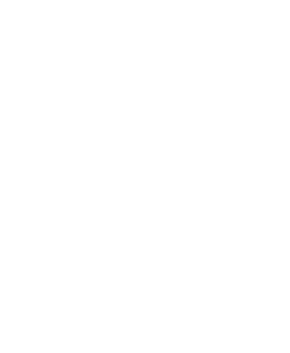 Revierheli